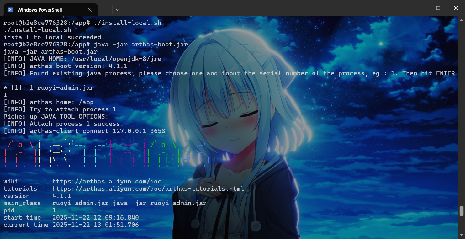 image-20251122225751389