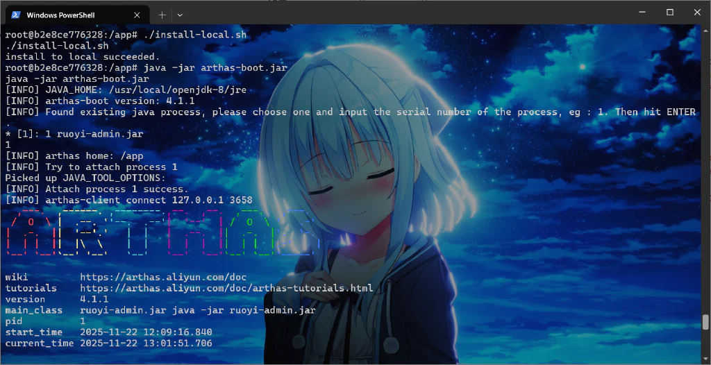 image-20251122225751389