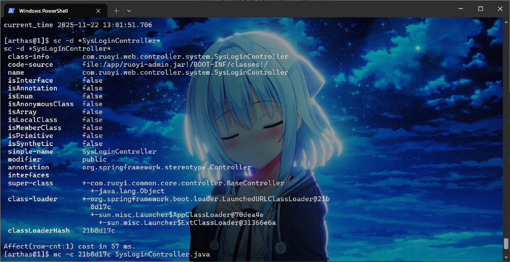 image-20251122225808349