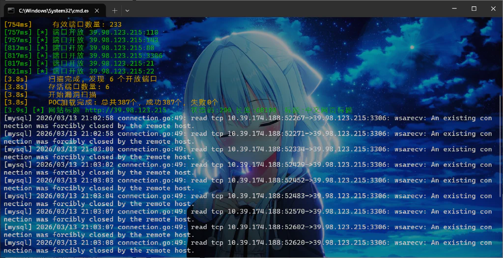 image-20260313211643431