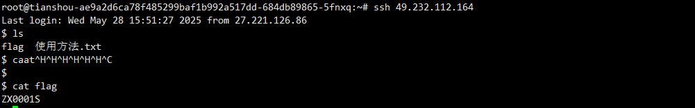 image-20250528202618716