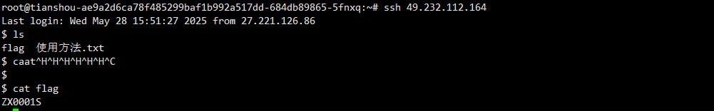 image-20250528202618716
