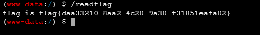 image-20250315133249902