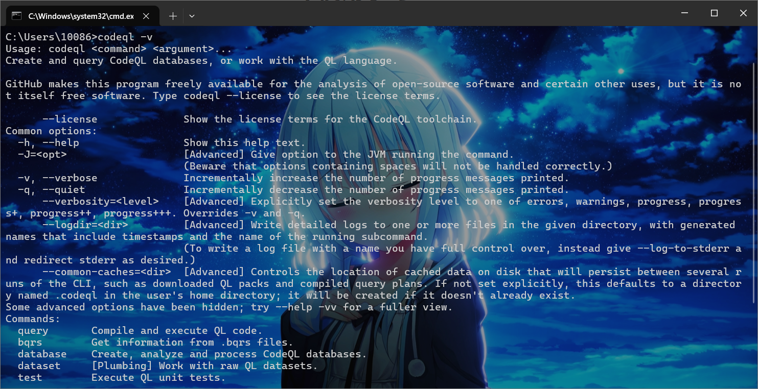 image-20251217195545208