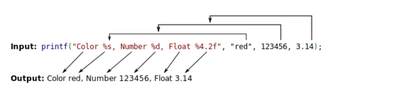 image-20260219155033000