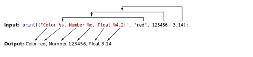 image-20260219155608747