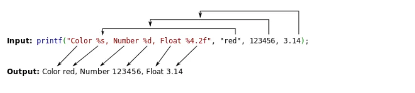 image-20260219155608747