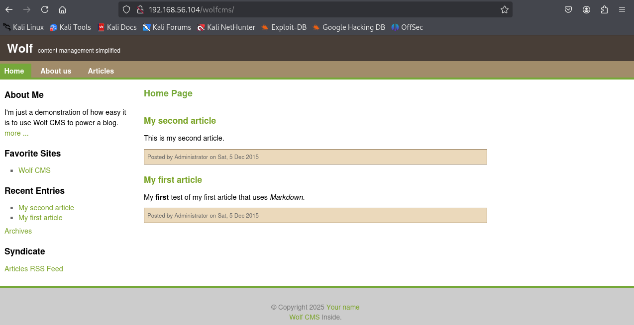 image-20251113132512618