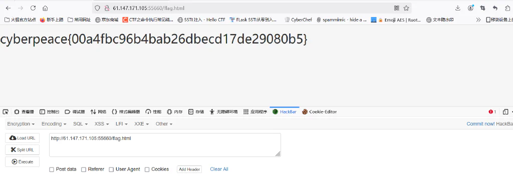 image-20250125130503206