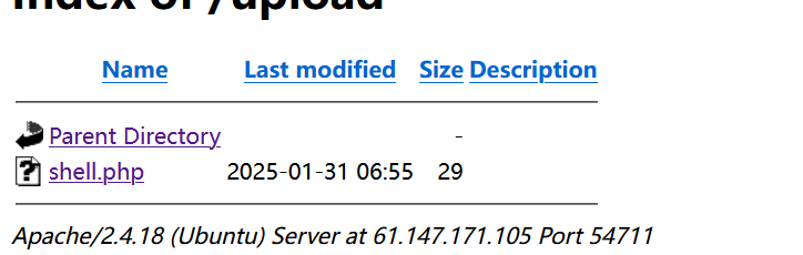 image-20250131150118365