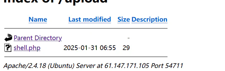 image-20250131150118365